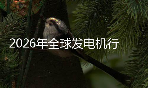 行业先企规模及排电机领名业国球发年全内外份额市场市场